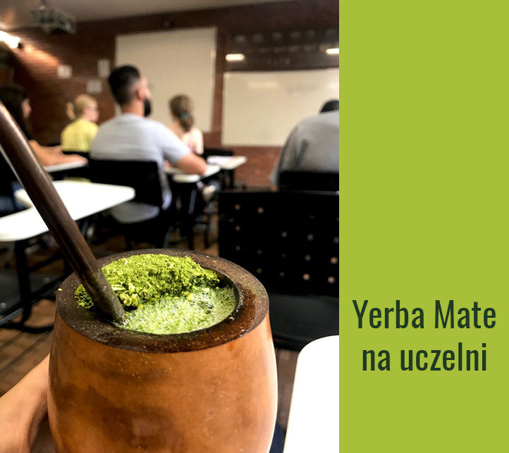 Yerba Mate na uczelni podczas wykładu / fot. Pinterest: @gabilimazinha