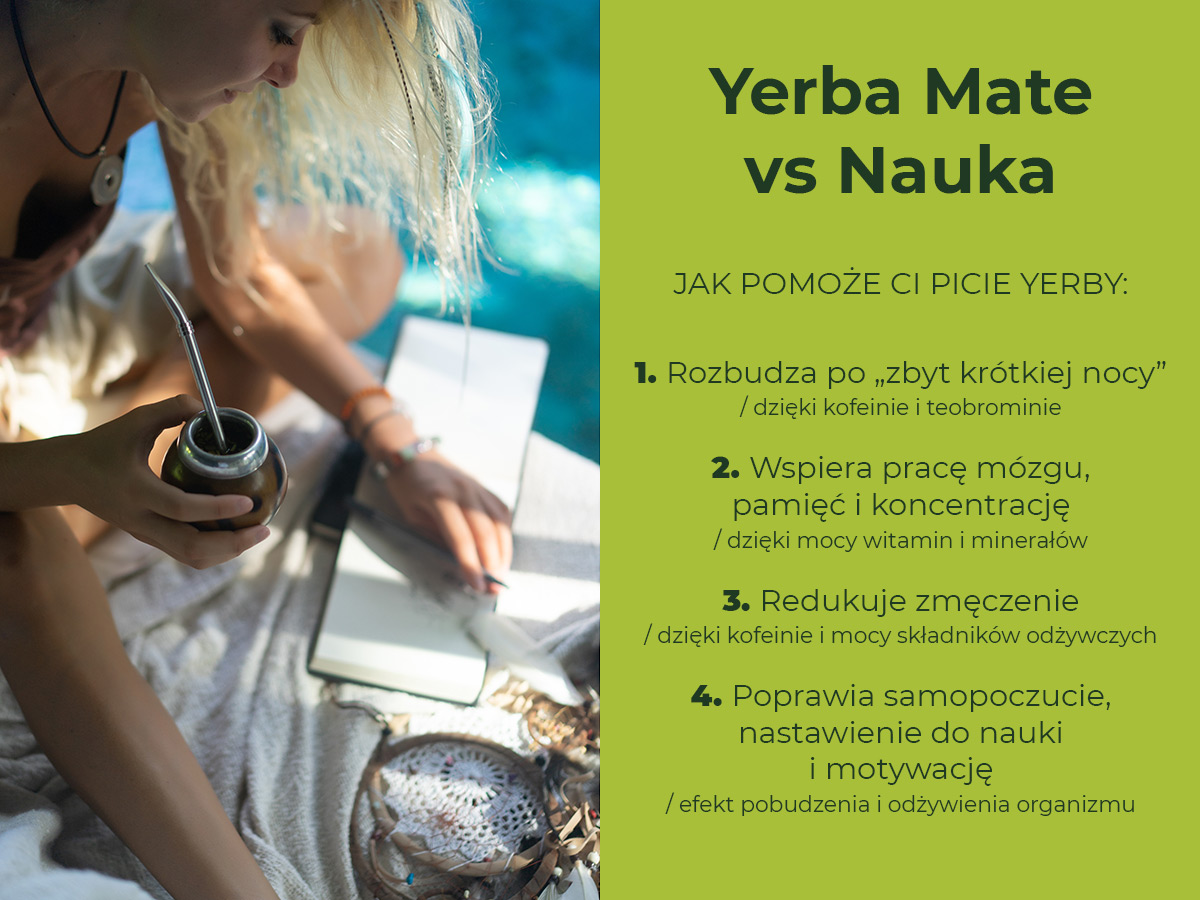 Yerba Mate vs Nauka: Jak pomoże Ci picie yerby? Infografika
