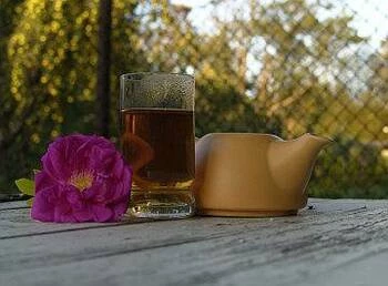 Tulsi, czyli indyjskie Dobre Ziele